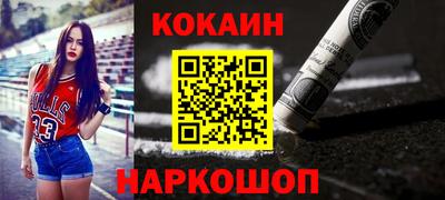 мдпв Камышлов