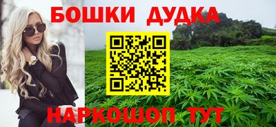 мдпв Камышлов