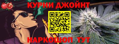 мдпв Камышлов