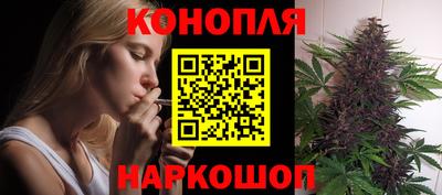 мдпв Камышлов