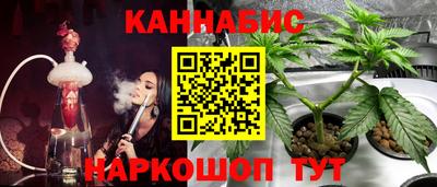 мдпв Камышлов