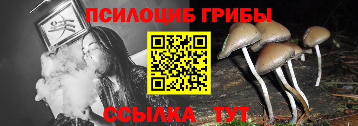 Псилоцибиновые грибы Cubensis Бирск