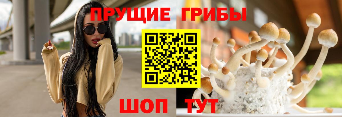 Бирск  Псилоцибиновые грибы MAGIC MUSHROOMS  Псилоцибиновые грибы мицелий  Вход с VPN 